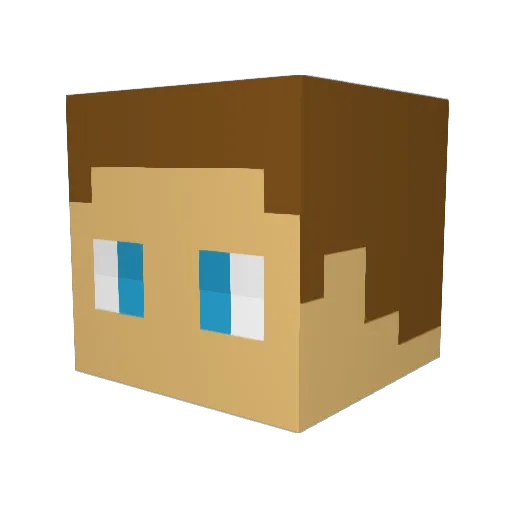 WillHHfcr Minecraft avatar head, 3D render