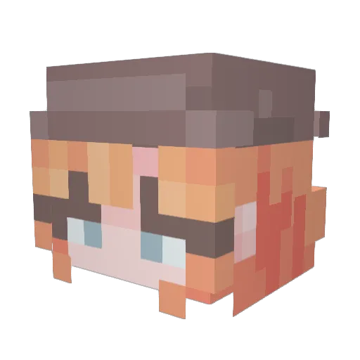 WillHoops Minecraft avatar head, 3D render