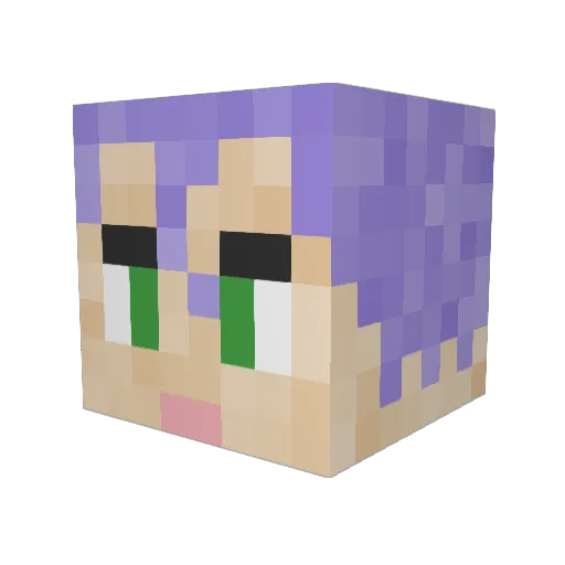 WillIVtg Minecraft avatar head, 3D render
