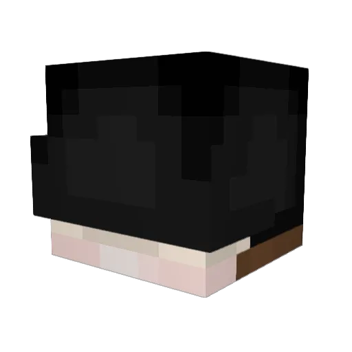 WillIsWise Minecraft avatar head, 3D render