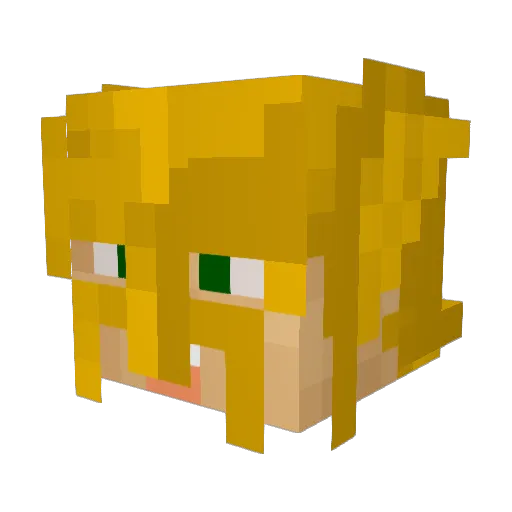 WillJack1234 Minecraft avatar head, 3D render