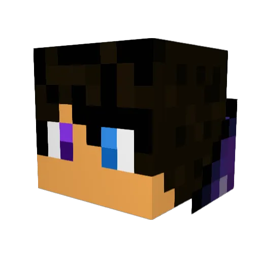 WillJk6424 Minecraft avatar head, 3D render