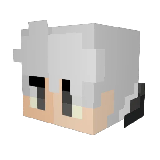 WillNotFound3 Minecraft avatar head, 3D render