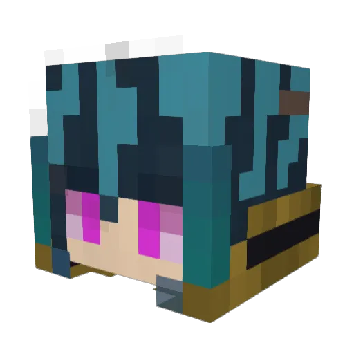 WillSerfort Minecraft avatar head, 3D render