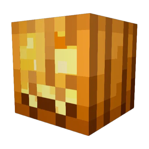 WillStew14 Minecraft avatar head, 3D render