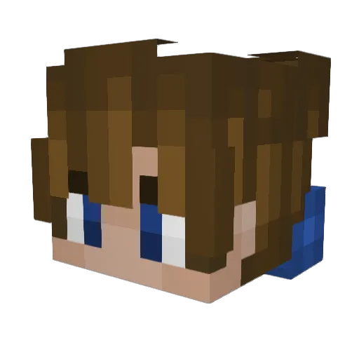 WillStillPlayz02 Minecraft avatar head, 3D render