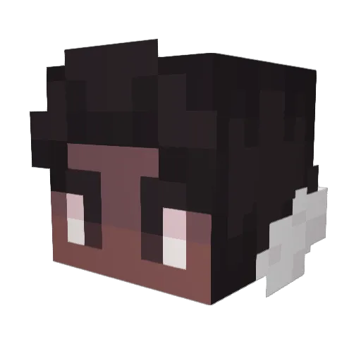WillStillPlayz Minecraft avatar head, 3D render
