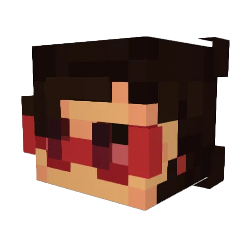 WillSunshine Minecraft avatar head, 3D render