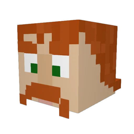 WillTGPYT Minecraft avatar head, 3D render