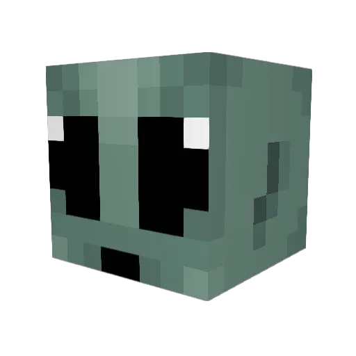WillTex03 Minecraft avatar head, 3D render