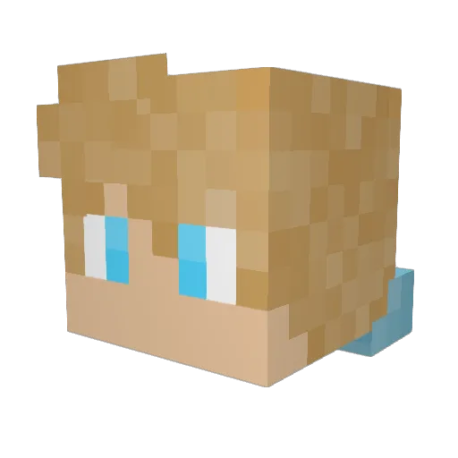 WillWubzyy Minecraft avatar head, 3D render