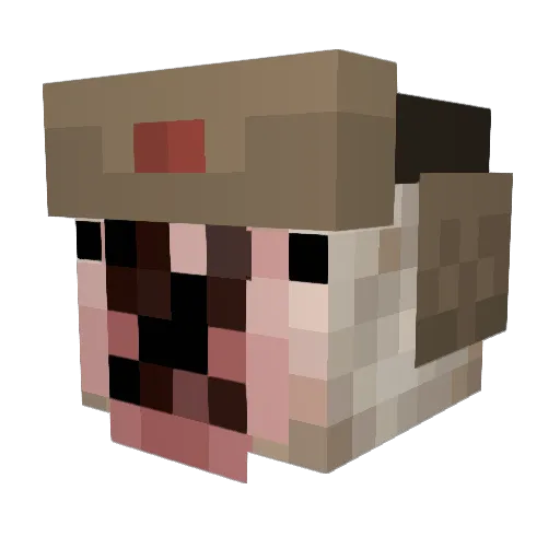 Will_Builder Minecraft avatar head, 3D render