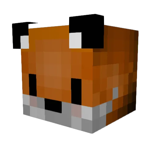 Will_FoxFX Minecraft avatar head, 3D render