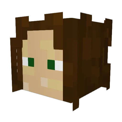 Will_aka_The_Man Minecraft avatar head, 3D render