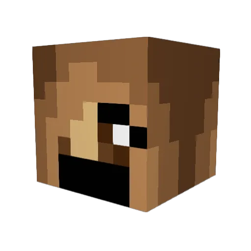 Willarbogast Minecraft avatar head, 3D render