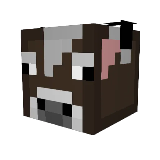 WillasBalla Minecraft avatar head, 3D render