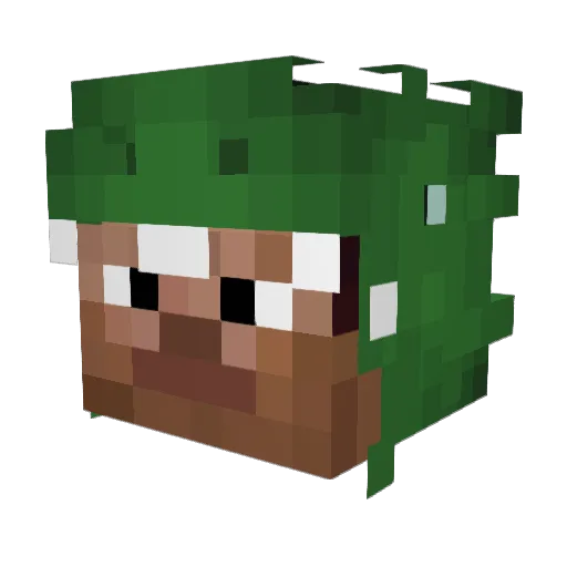 Willberry Minecraft avatar head, 3D render
