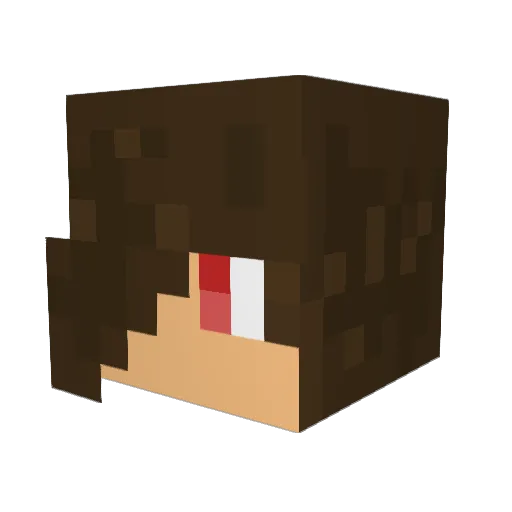 Willbo_Baggins99 Minecraft avatar head, 3D render