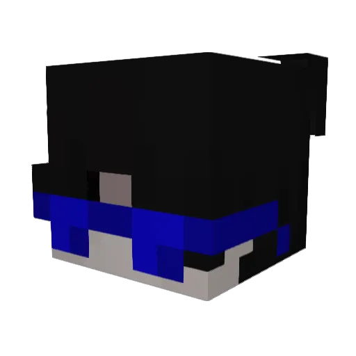 Willbobbob Minecraft avatar head, 3D render