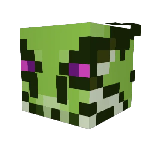 Willbot50 Minecraft avatar head, 3D render