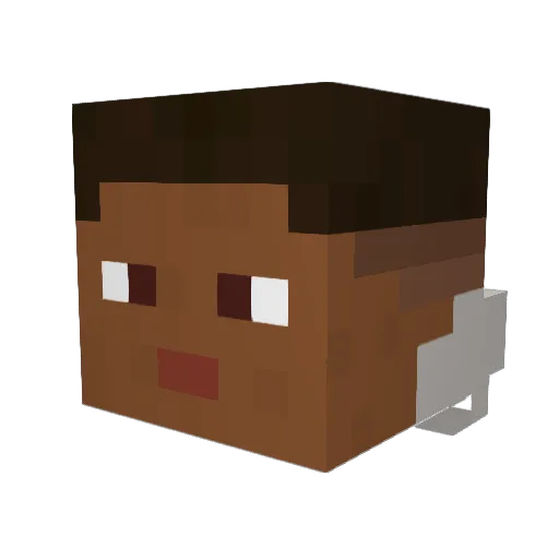 Willcer07 Minecraft avatar head, 3D render