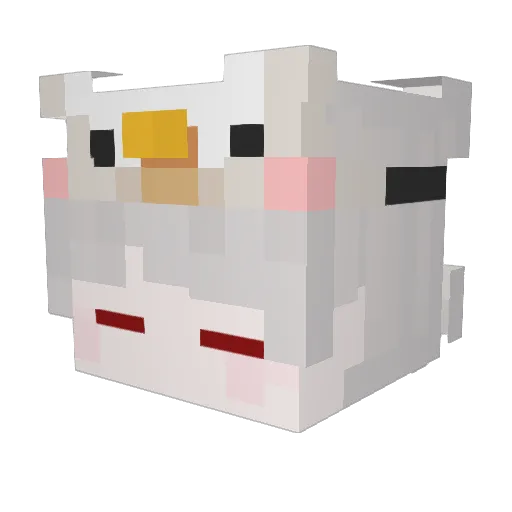 Willday98 Minecraft avatar head, 3D render