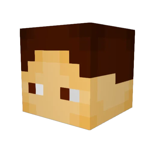 WilldeinSkill Minecraft avatar head, 3D render