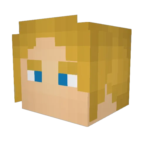 WilleBoyy Minecraft avatar head, 3D render
