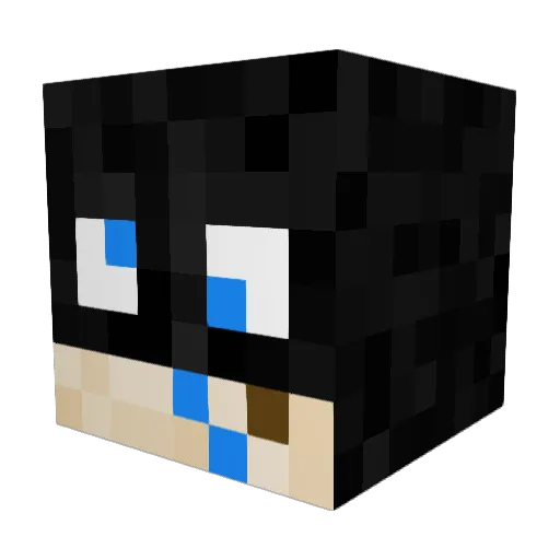 Wille_765 Minecraft avatar head, 3D render