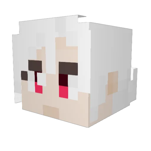 WilledGnome2001 Minecraft avatar head, 3D render