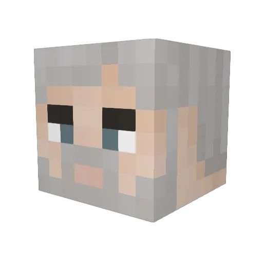 WillemDingo64 Minecraft avatar head, 3D render