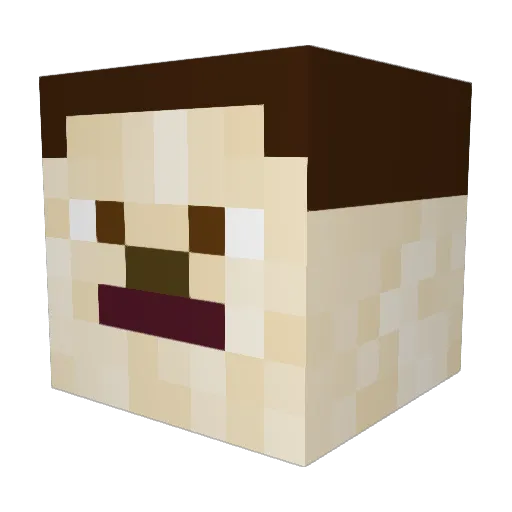 Willemt23 Minecraft avatar head, 3D render