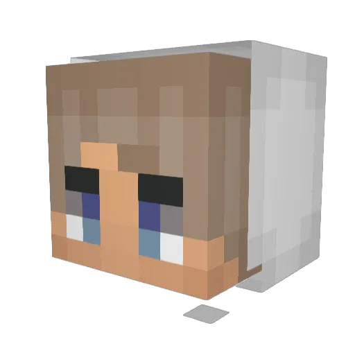 Willer5811 Minecraft avatar head, 3D render