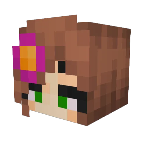 Willer_YT Minecraft avatar head, 3D render
