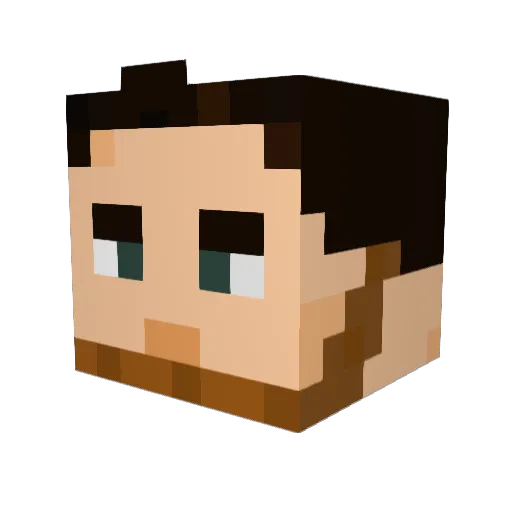 Willerss Minecraft avatar head, 3D render