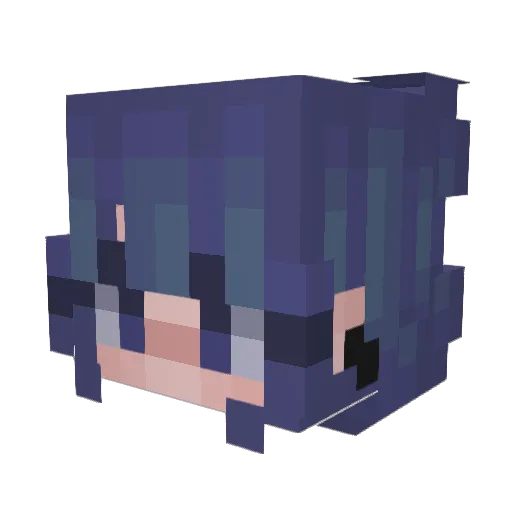 Willewilk Minecraft avatar head, 3D render