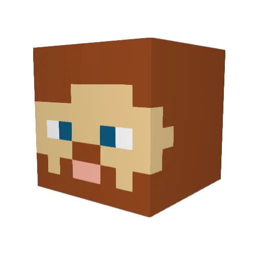 Willfist7 Minecraft avatar head, 3D render