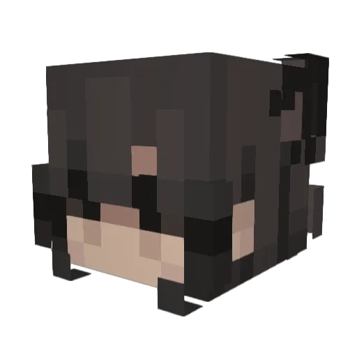 WillfulTea Minecraft avatar head, 3D render