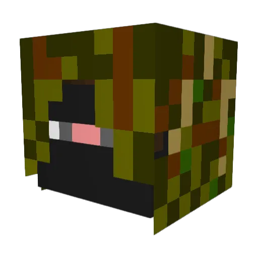 Willi6_0 Minecraft avatar head, 3D render