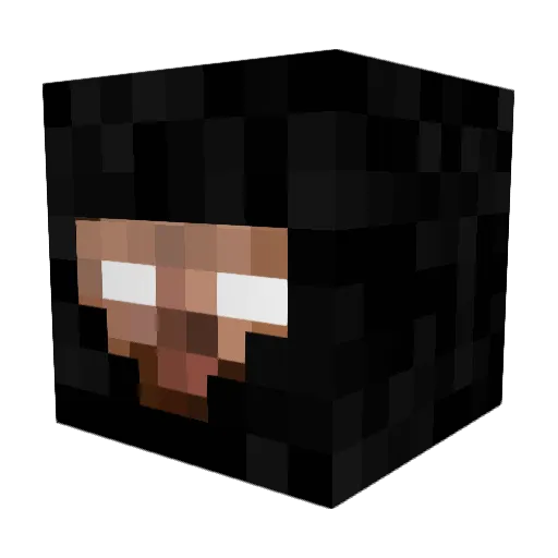 WilliBM Minecraft avatar head, 3D render