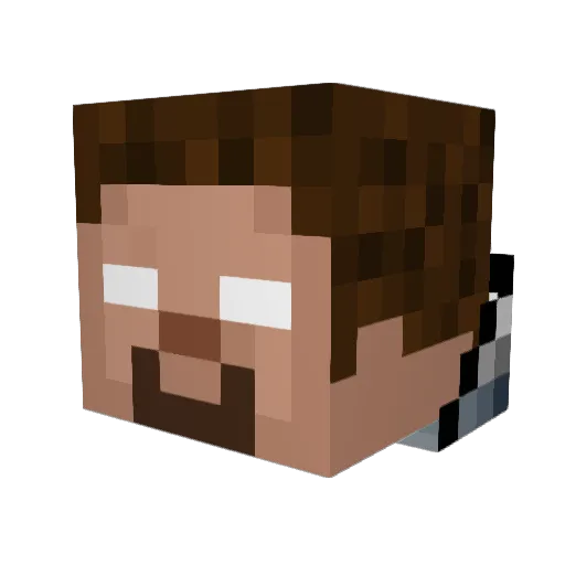 WilliMinecraftz Minecraft avatar head, 3D render