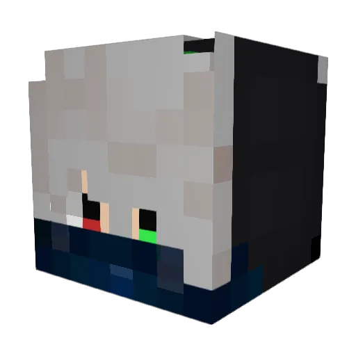 William23112 Minecraft avatar head, 3D render