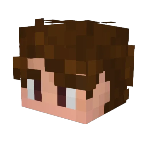 William6754 Minecraft avatar head, 3D render