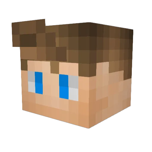 WilliamVV2 Minecraft avatar head, 3D render