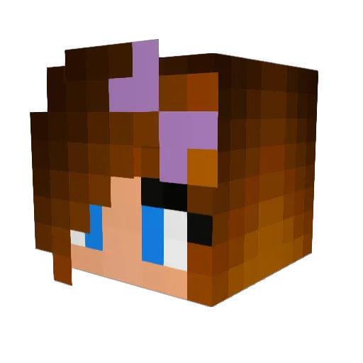 William_20062017 Minecraft avatar head, 3D render