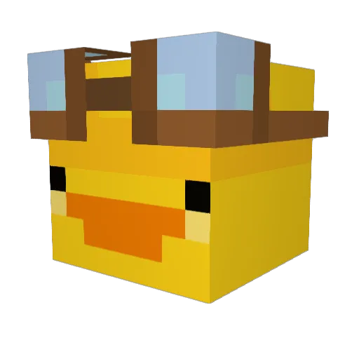 William_Leo Minecraft avatar head, 3D render