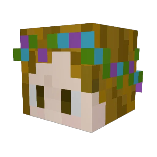 Williams492 Minecraft avatar head, 3D render