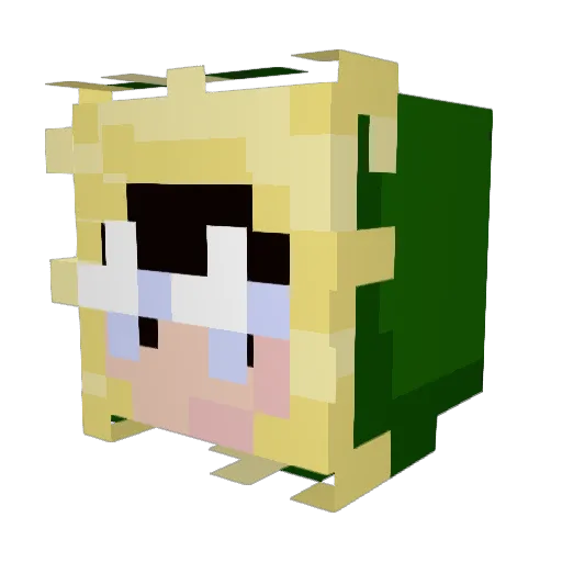 Williamson450 Minecraft avatar head, 3D render