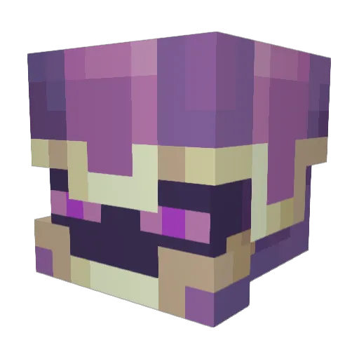 WillianAstro Minecraft avatar head, 3D render