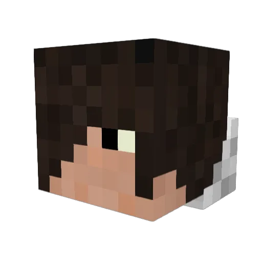 WilliceDC Minecraft avatar head, 3D render